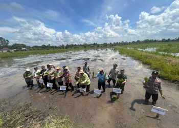 Personil bersama anggota Bhabinkamtibmas Polsek Pemulutan turut mengikuti kegiatan Gerakan Tanam Cetak Sawah Rakyat (CSR) yang dilaksanakan di Desa Simpang Pelabuhan Dalam, Kecamatan Pemulutan, Kabupaten Ogan Ilir, Kamis (07/05/2026) sekitar pukul 11.00 WIB.