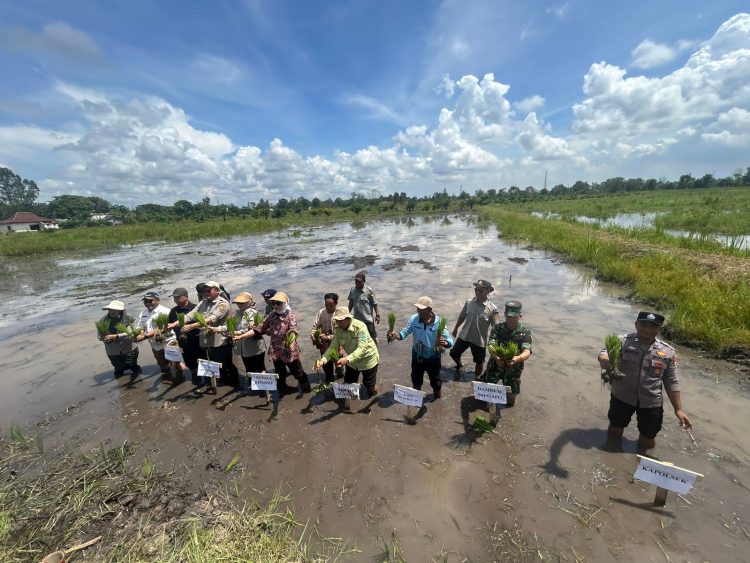 Personil bersama anggota Bhabinkamtibmas Polsek Pemulutan turut mengikuti kegiatan Gerakan Tanam Cetak Sawah Rakyat (CSR) yang dilaksanakan di Desa Simpang Pelabuhan Dalam, Kecamatan Pemulutan, Kabupaten Ogan Ilir, Kamis (07/05/2026) sekitar pukul 11.00 WIB.