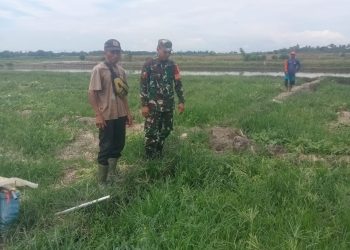 Babinsa Koramil 06/Perdagangan Kodim 0207/Simalungun, Koptu Rahmayadi, yang melaksanakan kegiatan komunikasi sosial (Komsos) bersama warga pada Minggu (10/05/2026).