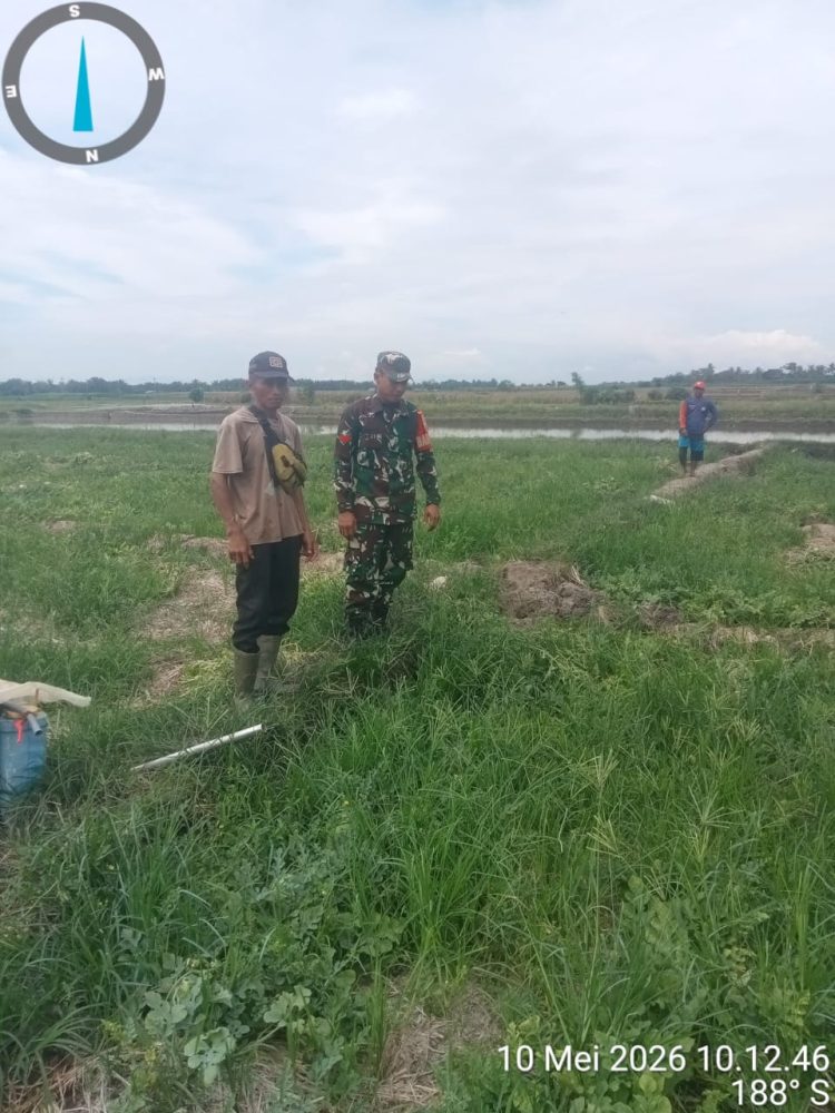 Babinsa Koramil 06/Perdagangan Kodim 0207/Simalungun, Koptu Rahmayadi, yang melaksanakan kegiatan komunikasi sosial (Komsos) bersama warga pada Minggu (10/05/2026).