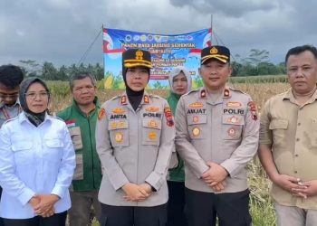 Kapolres Purbalingga AKBP Anita Indah Setyaningrum bersama stakeholder terkait secara simbolis melaksanakan panen di lahan seluas 8.000 meter persegi. Lahan tersebut dikelola oleh petani desa setempat