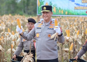 Kapolda Kalimantan Tengah (Kalteng) Irjen Pol Iwan Kurniawan, S.IK., M.Si. melaksanakan panen raya jagung Kuartal II Tahun 2026 di Kelurahan Pager, Kec. Rakumpit, Kota Palangka Raya, Sabtu (16/5/2026) siang.