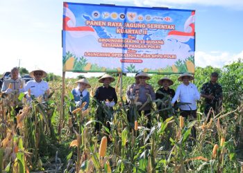 Kapolres Seruyan AKBP Beddy Suwendi, S.H., S.I.K., mengikuti kegiatan Panen Raya Jagung Serentak Kuartal II, Groundbreaking 10 Gudang Ketahanan Pangan Polri, serta Launching Operasional 166 SPPG Polri yang dilaksanakan serentak secara nasional melalui Zoom Meeting pada Sabtu (16/5/2026) pukul 13.00 WIB,