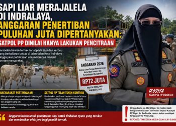 Persoalan hewan ternak liar seperti sapi dan kerbau yang berkeliaran bebas di jalan-jalan Kota Indralaya hingga jalur perlintasan umum kembali menjadi sorotan masyarakat.