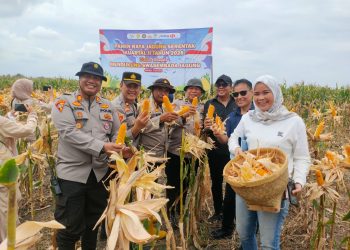 Polres Ogan Ilir bersama Pemerintah Daerah dan kelompok tani melaksanakan kegiatan Panen Raya Jagung Serentak Kuartal II secara virtual melalui video conference yang dilaksanakan serentak di seluruh wilayah Indonesia, Sabtu (16/05/2026).