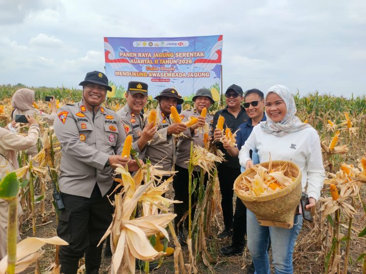 Polres Ogan Ilir bersama Pemerintah Daerah dan kelompok tani melaksanakan kegiatan Panen Raya Jagung Serentak Kuartal II secara virtual melalui video conference yang dilaksanakan serentak di seluruh wilayah Indonesia, Sabtu (16/05/2026).