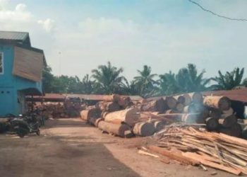 Balai Pengamanan dan Penegakan Hukum (Gakkum) Lingkungan Hidup dan Kehutanan (LHK) Wilayah Sumatera mengambil tindakan tegas dengan menyegel lima perusahaan kilang kayu (sawmill) di Kecamatan Kisaran Timur, Kabupaten Asahan.