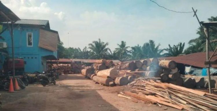 Balai Pengamanan dan Penegakan Hukum (Gakkum) Lingkungan Hidup dan Kehutanan (LHK) Wilayah Sumatera mengambil tindakan tegas dengan menyegel lima perusahaan kilang kayu (sawmill) di Kecamatan Kisaran Timur, Kabupaten Asahan.