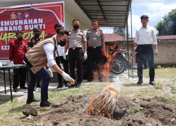 Pemusnahan itu dipimpin langsung oleh Wakapolres Dairi, Kompol Diarma Munthe, Kasat Narkoba, Iptu Marlon Hutapea, Kasi Humas, AKP Syahril Ramadhan, serta perwakilan dari Pengadilan Negeri Sidikalang, dan Kejaksaan Negeri Dairi.