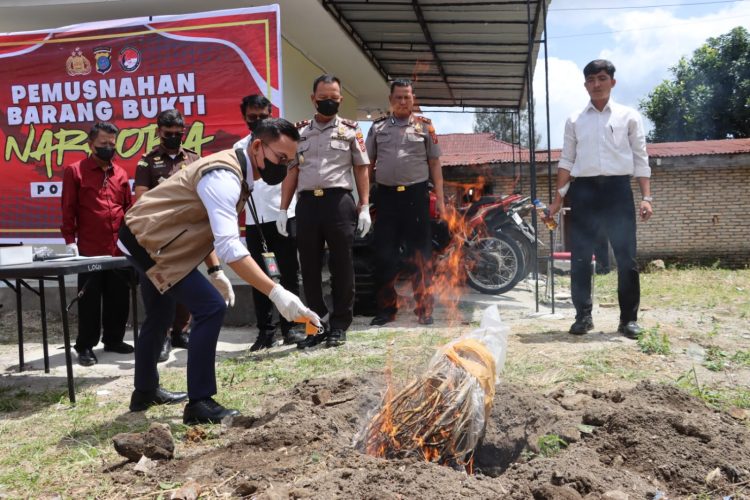 Pemusnahan itu dipimpin langsung oleh Wakapolres Dairi, Kompol Diarma Munthe, Kasat Narkoba, Iptu Marlon Hutapea, Kasi Humas, AKP Syahril Ramadhan, serta perwakilan dari Pengadilan Negeri Sidikalang, dan Kejaksaan Negeri Dairi.