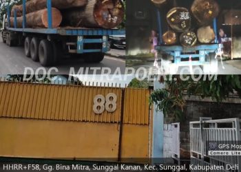 Truk bermuatan kayu gelondongan diduga keluar masuk dari sebuah lokasi tertutup di Gang Bina Mitra, Sunggal Kanan, Kabupaten Deli Serdang, Sumatera Utara. Foto: Dok/Mitrapolri.com
