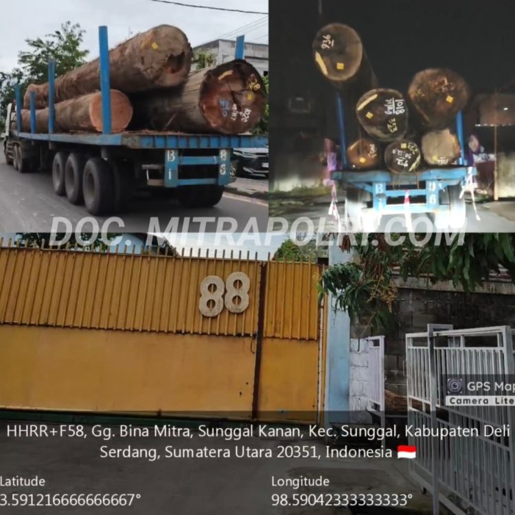Truk bermuatan kayu gelondongan diduga keluar masuk dari sebuah lokasi tertutup di Gang Bina Mitra, Sunggal Kanan, Kabupaten Deli Serdang, Sumatera Utara. Foto: Dok/Mitrapolri.com