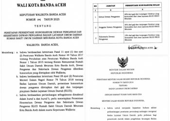 SK Wali Kota Banda Aceh Nomor 214 tahun 2025 Tentang Penetapan Persentase Honorarium Dewan Pengawas dan Sekretaris Dewan Pengawas Badan Layanan Umum Daerah Rumah Sakit Umum Daerah Meuraxa Kota Banda Aceh