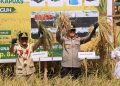 Kapolda Kalimantan Tengah Irjen Pol Iwan Kurniawan bersama Gubernur Kalteng H. Agustiar Sabran dan unsur Forkopimda Kab. Kapuas dengan menggelar Panen Raya Padi di Kabupaten Kapuas, Rabu (8/7/2026).