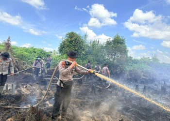 Personel BKO Penanganan Kebakaran Hutan dan Lahan (Karhutla) Ditsamapta Polda Kalimantan Tengah terus bergerak melakukan pemadaman dan pembasahan lahan yang terbakar di Desa Tumbang Nusa, Kabupaten Pulang Pisau, Minggu (12/7/2026).