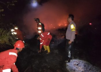 Personel Polda Kalimantan Tengah bersama tim gabungan berjibaku hingga malam hari untuk memadamkan kebakaran hutan dan lahan (karhutla) di Kecamatan Cempaga Hulu, Kabupaten Kotawaringin Timur, Rabu (29/7/2026).