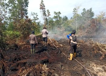 personel Satgas Aman Nusa Polda Kalimantan Tengah tetap bertahan menjalankan tugas kemanusiaan. Setelah berjibaku memadamkan api selama berjam-jam, mereka memanfaatkan waktu sejenak untuk beristirahat dan makan siang di lokasi sebelum kembali melanjutkan upaya pemadaman.