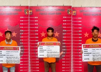 Adapun ketiga tersangka yang ditahan masing-masing berinisial D.U. (18), H. (24), dan H.R. (20). Saat ini ketiganya ditahan di Rumah Tahanan Negara Polres Nagan Raya untuk menjalani proses hukum lebih lanjut.