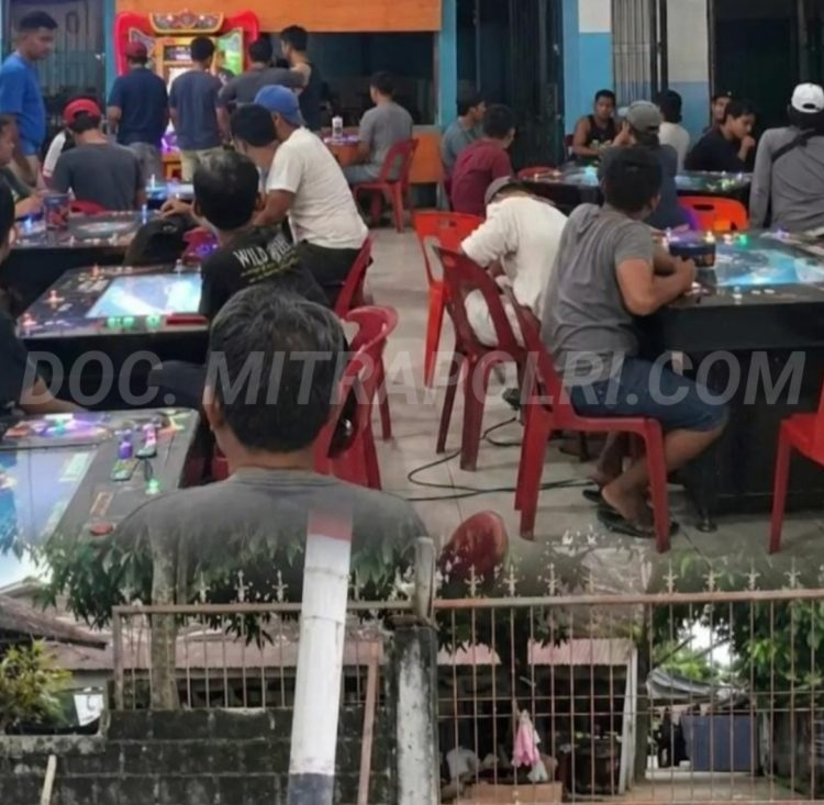 Lokasi yang diduga kuat menjadi arena perjudian ini berlokasi di Jalan Amir Hamzah, Pasar VII, Desa Tandam Hilir I, serta di kawasan Pasar V, Jalan Saudara, Desa Tandam Hulu I.