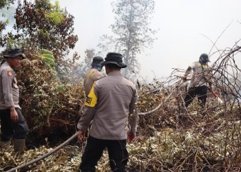 Personel Satgas Operasi Aman Nusa II Polda Kalimantan Tengah terus berupaya memadamkan kebakaran hutan dan lahan (karhutla) di tengah cuaca panas dan terik matahari.