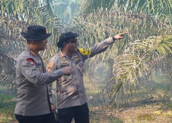 Dirsamapta Polda Kalteng bersama para PJU Polda Kalteng turun langsung meninjau lokasi kebakaran di Jl. Hiu Putih, Kota Palangka Raya, Selasa (4/8/2026).
