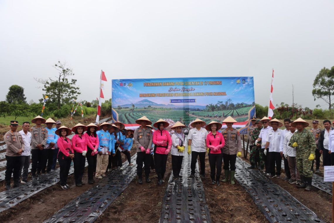 Lahan seluas 1 hektar tersebut dihadiri langsung oleh Kapolres Dairi, AKBP Otniel Siahaan bersama Dandim 0206 Dairi, Letkol ARM. Denni Wardana, Bupati Dairi yang diwakili Asisten Perekonomian, Junihardi Siregar serta pejabat penting lainnya. 