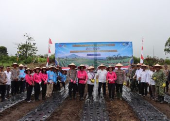 Lahan seluas 1 hektar tersebut dihadiri langsung oleh Kapolres Dairi, AKBP Otniel Siahaan bersama Dandim 0206 Dairi, Letkol ARM. Denni Wardana, Bupati Dairi yang diwakili Asisten Perekonomian, Junihardi Siregar serta pejabat penting lainnya.
