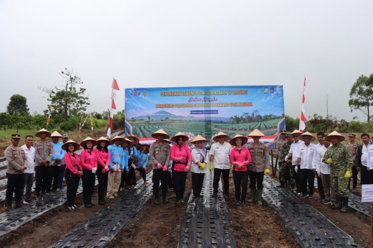Lahan seluas 1 hektar tersebut dihadiri langsung oleh Kapolres Dairi, AKBP Otniel Siahaan bersama Dandim 0206 Dairi, Letkol ARM. Denni Wardana, Bupati Dairi yang diwakili Asisten Perekonomian, Junihardi Siregar serta pejabat penting lainnya.