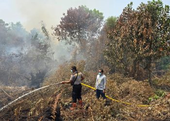 Personel Polsek Pahandut melakukan pengecekan titik hotspot di kawasan Jalan Langkai Permai 1, Kelurahan Langkai. Pengecekan dilakukan setelah terpantau adanya asap tebal dan api yang membakar lahan.