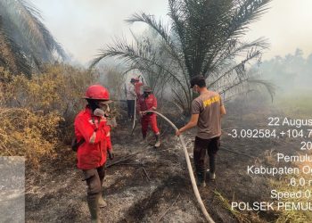 Upaya penanganan kebakaran hutan dan lahan (Karhutla) kembali dilakukan secara intensif oleh jajaran Polres Ogan Ilir bersama tim gabungan di Desa Pemulutan Ilir, Kecamatan Pemulutan, Kabupaten Ogan Ilir, Sabtu (22/8/2026).