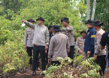 Kapolda Kalteng meninjau langsung lokasi pada Selasa (25/8/2026) bahwa sebagian besar titik api di wilayah tersebut sudah berhasil diatasi dalam beberapa hari terakhir. Namun masih ada beberapa titik api yang memerlukan penanganan serius. 