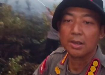 Dansatbrimob, Kombes Pol Dieno Hendro Widodo