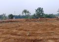 Pengelolaan lahan oleh pihak PT. Sentul City Tbk.