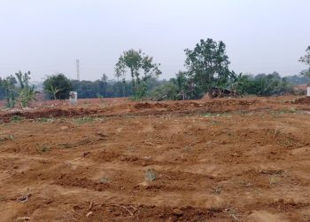Pengelolaan lahan oleh pihak PT. Sentul City Tbk.