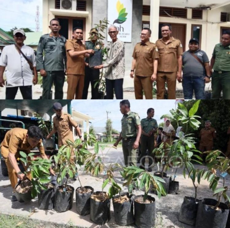 Penyaluran bibit mangga dan durian tersebut diserahkan secara simbolis oleh Kepala UPTD KPH Wilayah I Aceh, Kamaruzzaman, S.Hut., M.P., kepada masyarakat Banda Aceh dan Aceh Besar di halaman Kantor UPTD KPH Wilayah I Aceh, Gampong Lampoh Daya, Kecamatan Jaya Baru, Kota Banda Aceh.