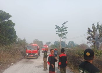 Personel Polsek Sabangau bersama TSAK Kereng Bangkirai dan Dinas Kehutanan Provinsi Kalimantan Tengah melakukan pengecekan sekaligus pemadaman kebakaran lahan di Jalan Maduhara, Kelurahan Kereng Bangkirai, Kecamatan Sabangau.