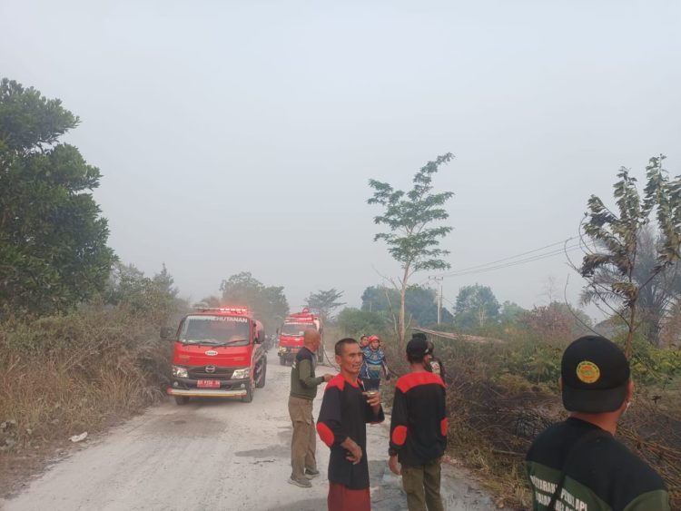 Personel Polsek Sabangau bersama TSAK Kereng Bangkirai dan Dinas Kehutanan Provinsi Kalimantan Tengah melakukan pengecekan sekaligus pemadaman kebakaran lahan di Jalan Maduhara, Kelurahan Kereng Bangkirai, Kecamatan Sabangau.