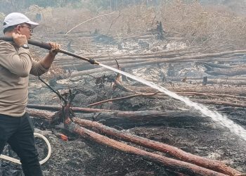 Kali ini inovasi berupa hasil riset terkait penggunaan cairan khusus pemadam api yang dicampurkan dengan air bernama Shabodama tersebut, dikembangkan oleh AKBP Dr. Edia Sutaata, S.H., M.H. yang merupakan personel Polda Kalimantan Tengah (Kalteng). 