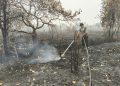 Polsek Pahandut melakukan pemadaman dan pendinginan kebakaran hutan dan lahan (karhutla) yang kembali menyala di Jalan Mahir Mahar, Kelurahan Bukit Tunggal, Kecamatan Jekan Raya, Kota Palangka Raya.