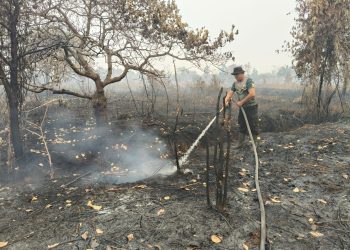 Polsek Pahandut melakukan pemadaman dan pendinginan kebakaran hutan dan lahan (karhutla) yang kembali menyala di Jalan Mahir Mahar, Kelurahan Bukit Tunggal, Kecamatan Jekan Raya, Kota Palangka Raya.