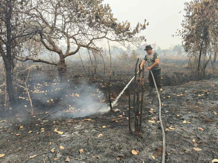 Polsek Pahandut melakukan pemadaman dan pendinginan kebakaran hutan dan lahan (karhutla) yang kembali menyala di Jalan Mahir Mahar, Kelurahan Bukit Tunggal, Kecamatan Jekan Raya, Kota Palangka Raya.