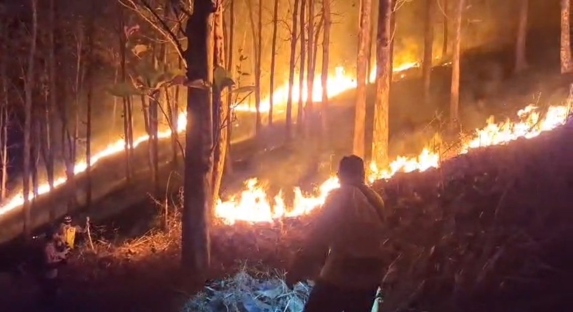 Kobaran api membakar lahan milik Perhutani dengan luas sekitar satu hektare. Mengetahui kejadian tersebut, Kapolsek Ajibarang Iptu Haryanto, S.H., bersama anggota langsung bergerak ke lokasi untuk melakukan pengecekan dan penanganan.