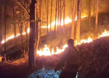 Kobaran api membakar lahan milik Perhutani dengan luas sekitar satu hektare. Mengetahui kejadian tersebut, Kapolsek Ajibarang Iptu Haryanto, S.H., bersama anggota langsung bergerak ke lokasi untuk melakukan pengecekan dan penanganan.