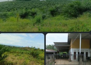 Praktik mafia tanah dan kelangkaan pupuk bersubsidi di Kabupaten Aceh Timur kembali meresahkan masyarakat.