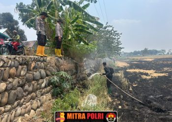 Tim Karhutla Polsek Pemulutan Polres Ogan Ilir bersama BPBD Kabupaten Ogan Ilir dan masyarakat bergerak cepat melakukan mitigasi dan pemadaman kebakaran hutan dan lahan (Karhutla) di Desa Pelabuhan Dalam, Kecamatan Pemulutan, Selasa (15/9/2026).