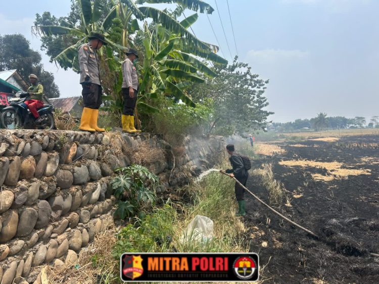 Tim Karhutla Polsek Pemulutan Polres Ogan Ilir bersama BPBD Kabupaten Ogan Ilir dan masyarakat bergerak cepat melakukan mitigasi dan pemadaman kebakaran hutan dan lahan (Karhutla) di Desa Pelabuhan Dalam, Kecamatan Pemulutan, Selasa (15/9/2026).
