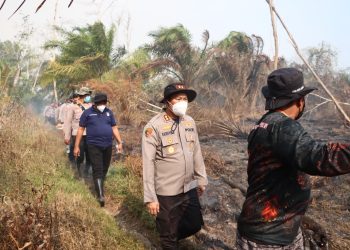 Kapolres Kotim AKBP I Kadek Dwi Yoga Sidhimantra W., S.H., S.I.K., M.M. meninjau langsung lokasi kebakaran hutan dan lahan di Desa Rawa Sari, Kecamatan Pulau Hanaut, Sabtu (19/09/2026) siang.