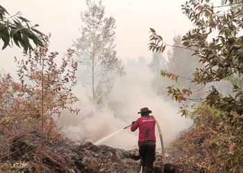 Seluruh personel gabungan disiagakan untuk melakukan pemadaman secara masif dan berkelanjutan dengan terus menggempur kebakaran hutan dan lahan (Karhutla) yang terjadi di penjuru Kota Palangka Raya. Minggu (20/9/2026).