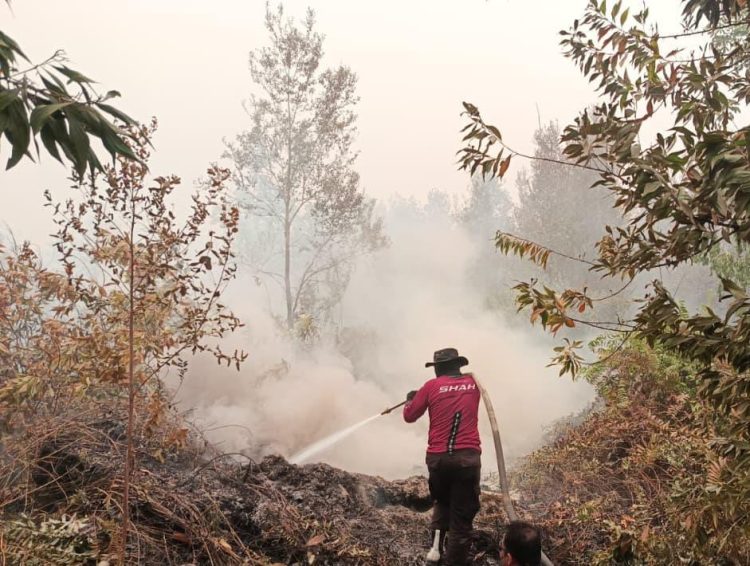 Seluruh personel gabungan disiagakan untuk melakukan pemadaman secara masif dan berkelanjutan dengan terus menggempur kebakaran hutan dan lahan (Karhutla) yang terjadi di penjuru Kota Palangka Raya. Minggu (20/9/2026).
