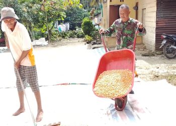 Babinsa Koramil 09/Tiga Balata, Serka Azman Wijaya, menyambangi petani, T. Sirait, yang tengah menjemur jagung hasil panen di Nagori Palianopat, Kecamatan Dolok Panribuan, Kabupaten Simalungun.